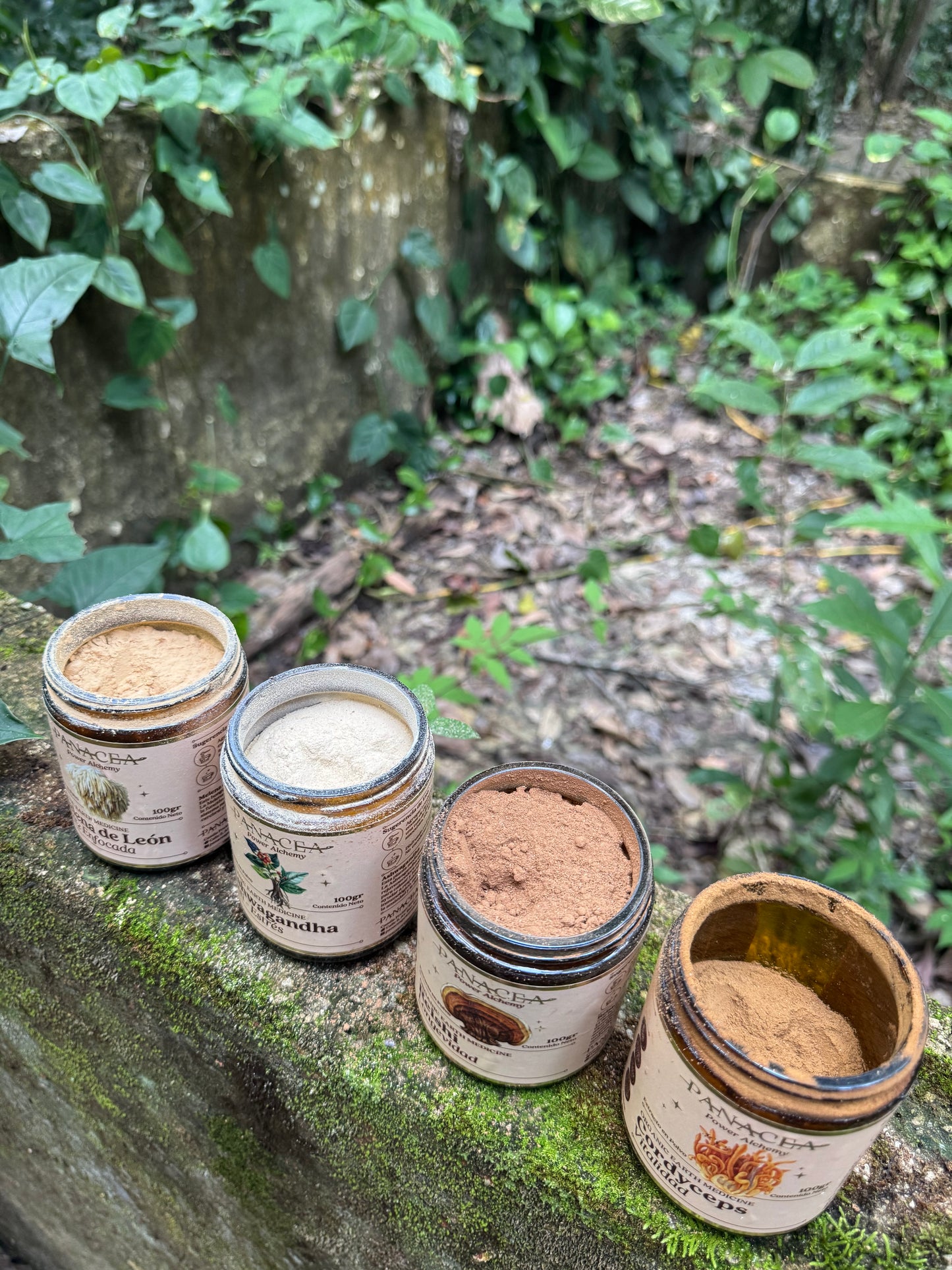 Kit Premium