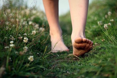 Fatiga Suprarrenal: La Solución Natural con Adaptógenos