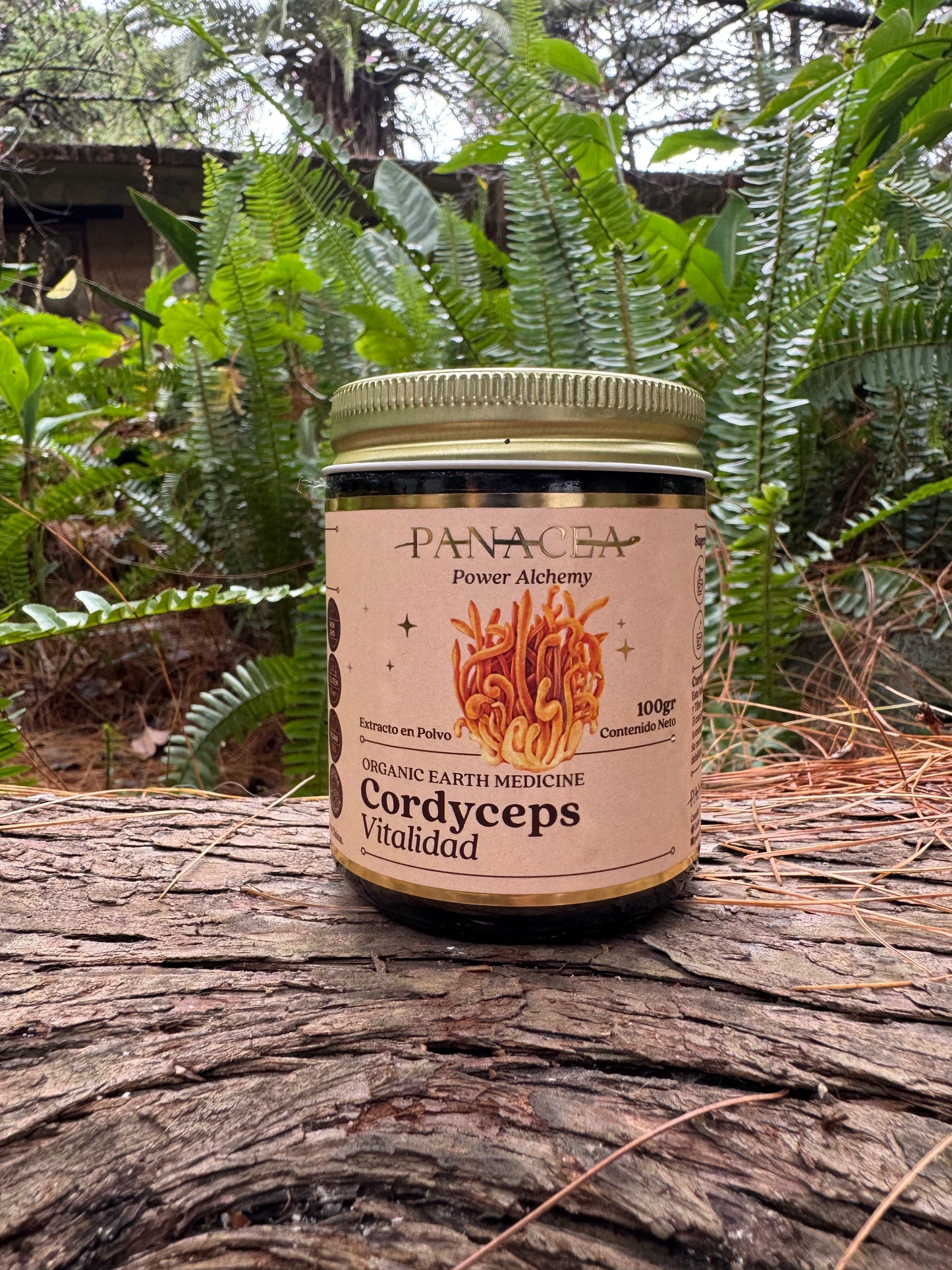 Cordyceps Vitalidad